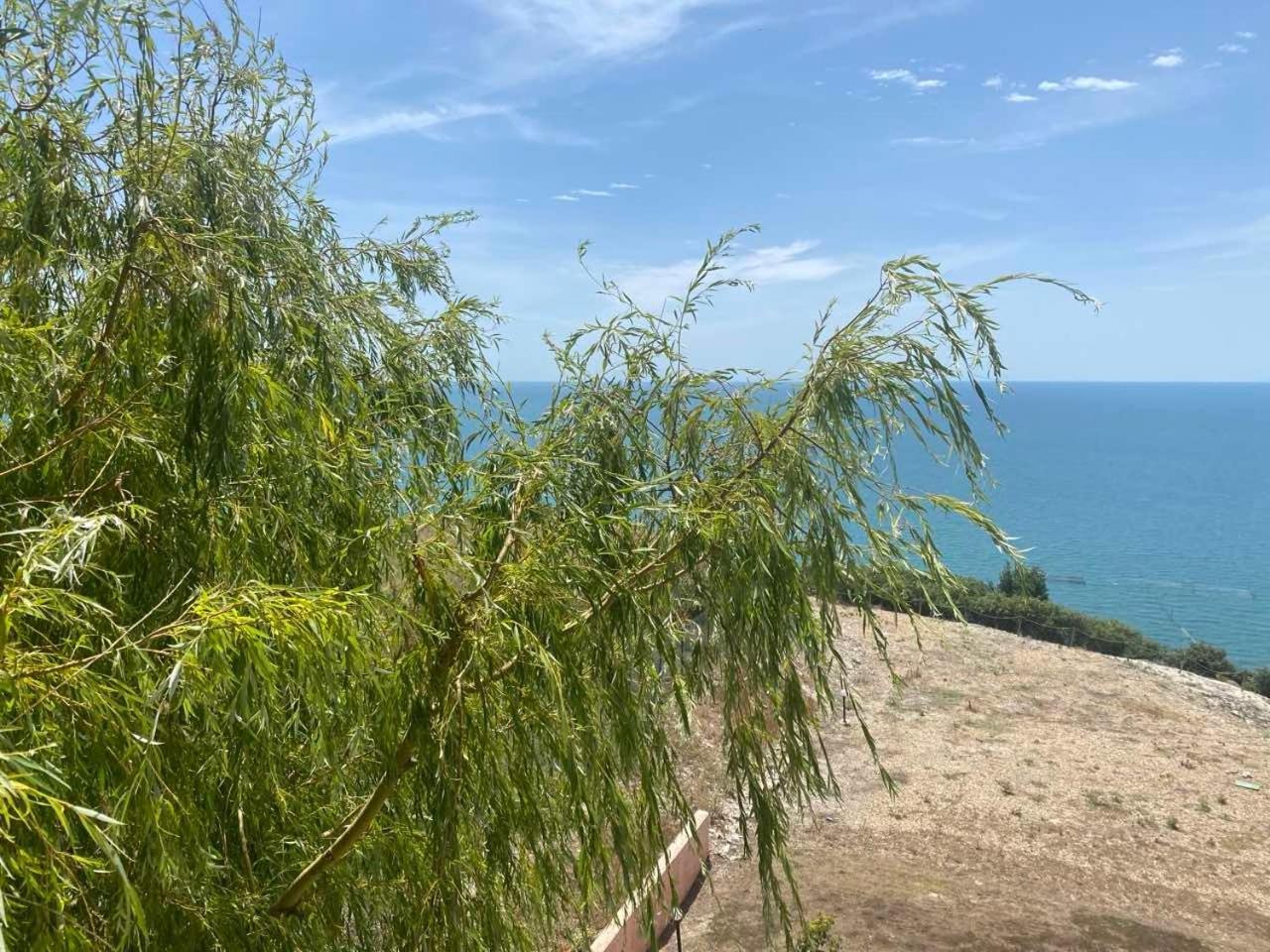 July Morning Seaside Resort Kavarna Bagian luar foto